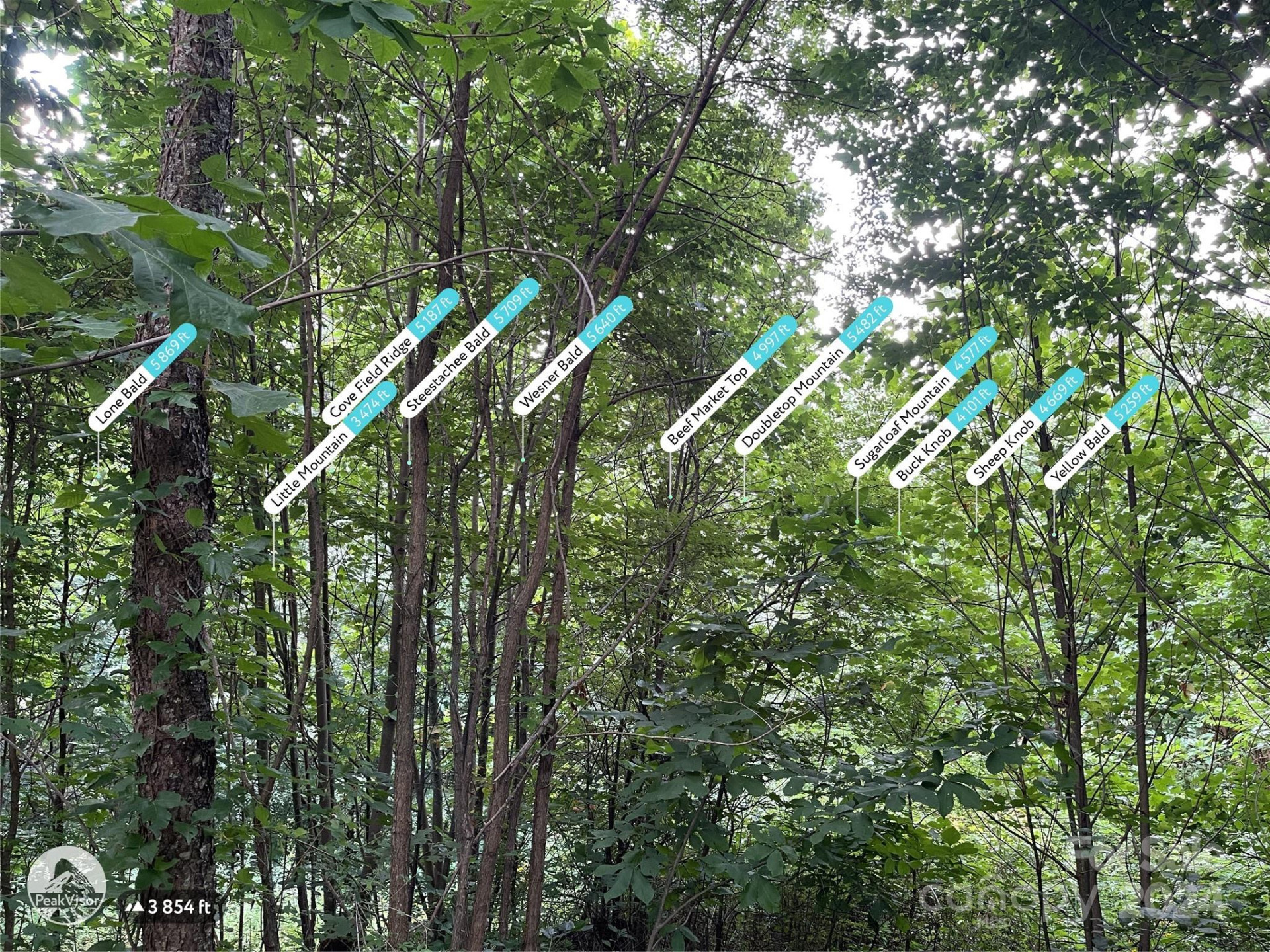 0000 Silverleaf Circle - Photo 24