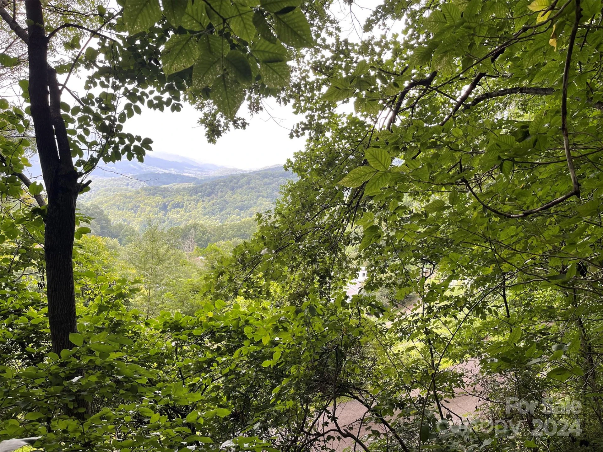 0000 Silverleaf Circle - Photo 27