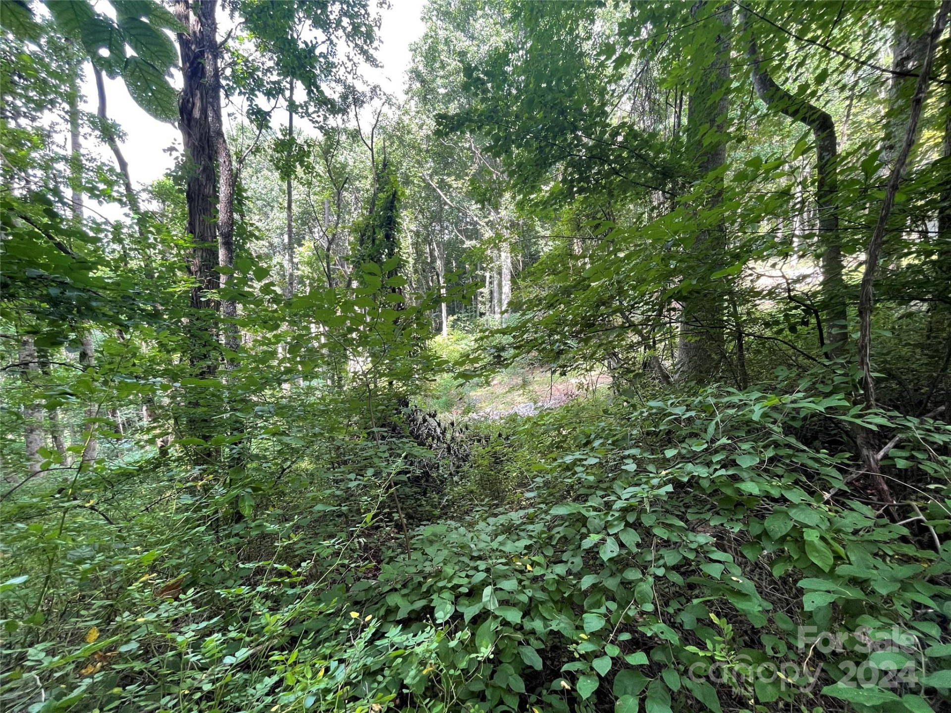 TBD Friendly Acres Drive - Photo 12