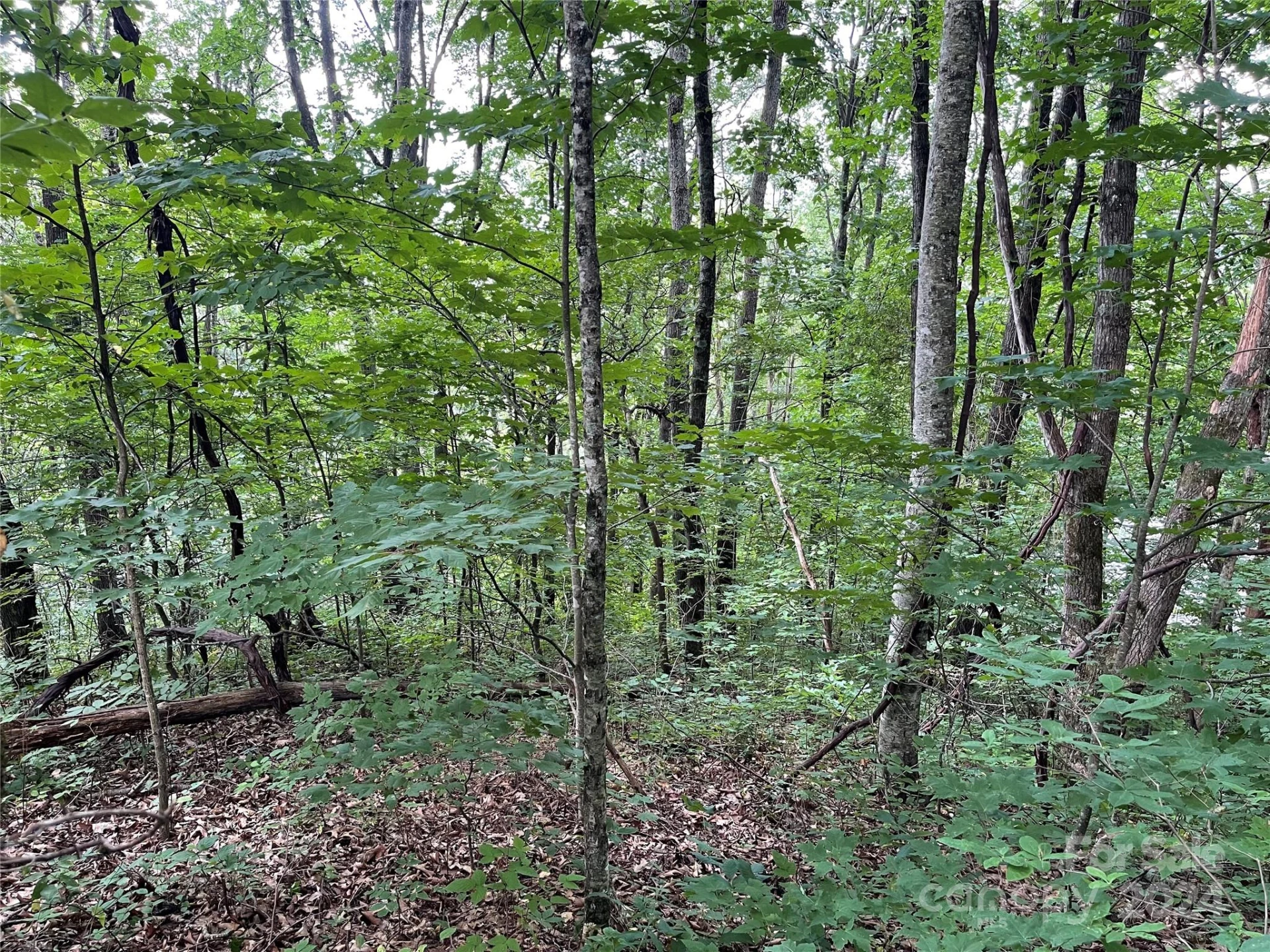 TBD Friendly Acres Drive - Photo 14