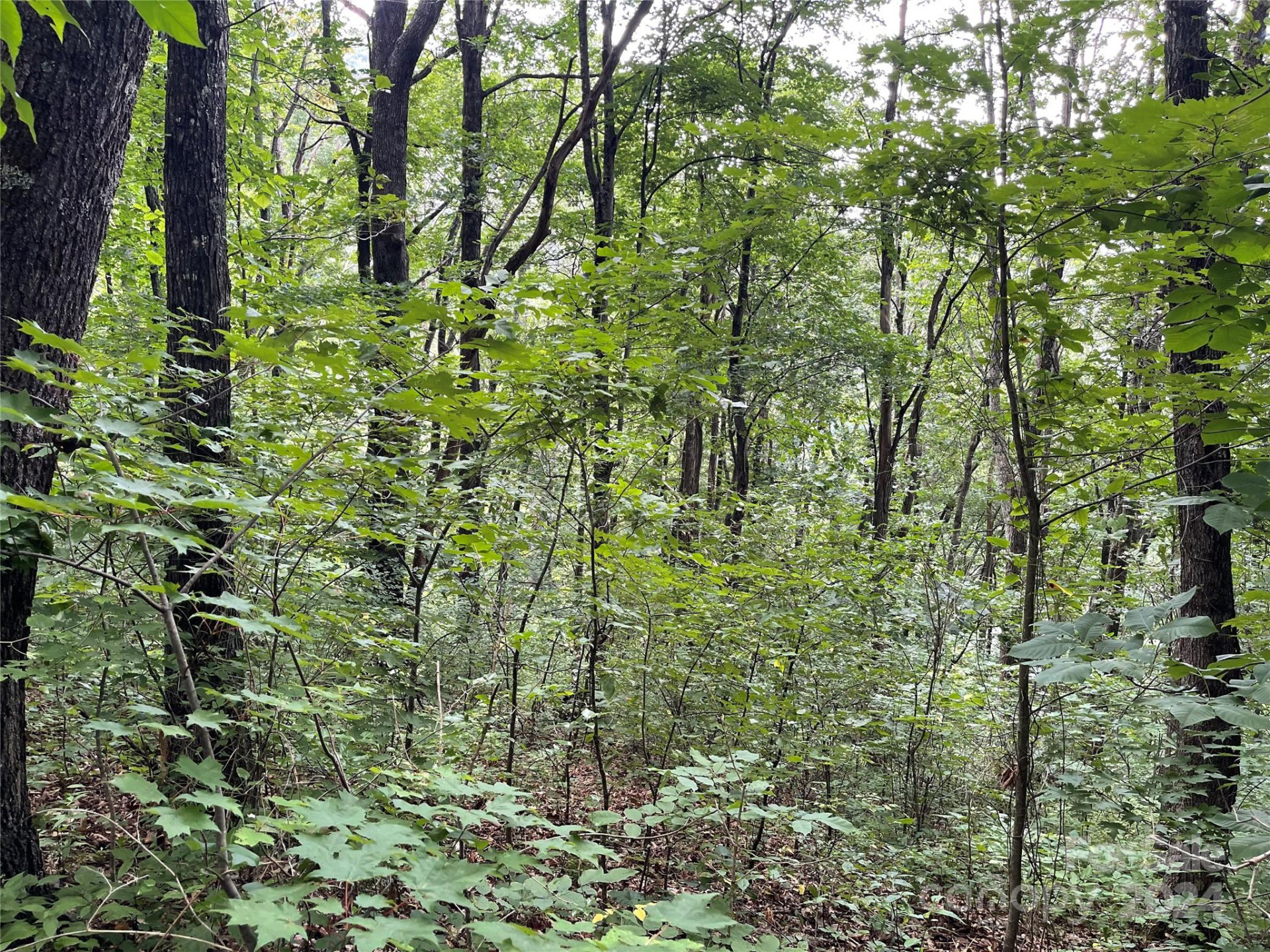 TBD Friendly Acres Drive - Photo 16