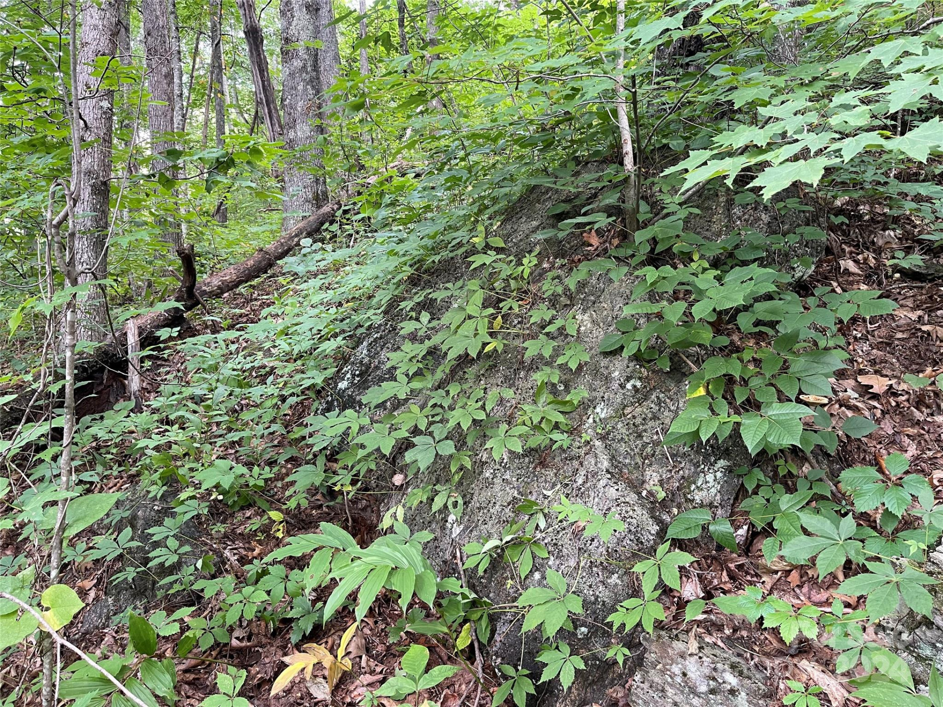 TBD Friendly Acres Drive - Photo 20