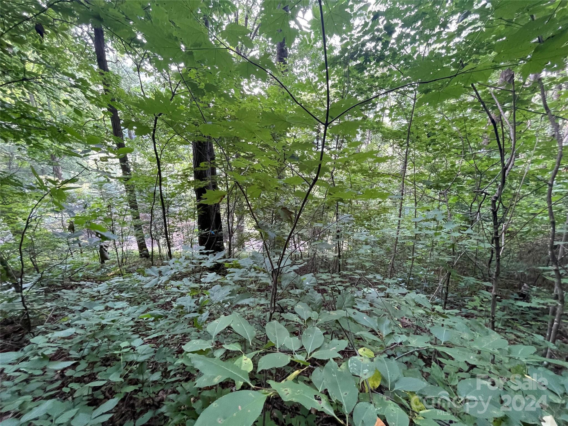 TBD Friendly Acres Drive - Photo 22