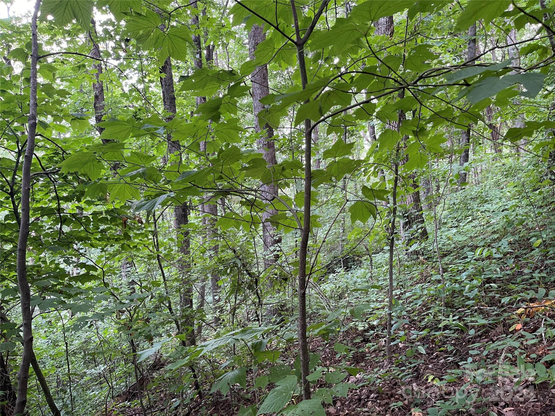 TBD Friendly Acres Drive - Photo 24