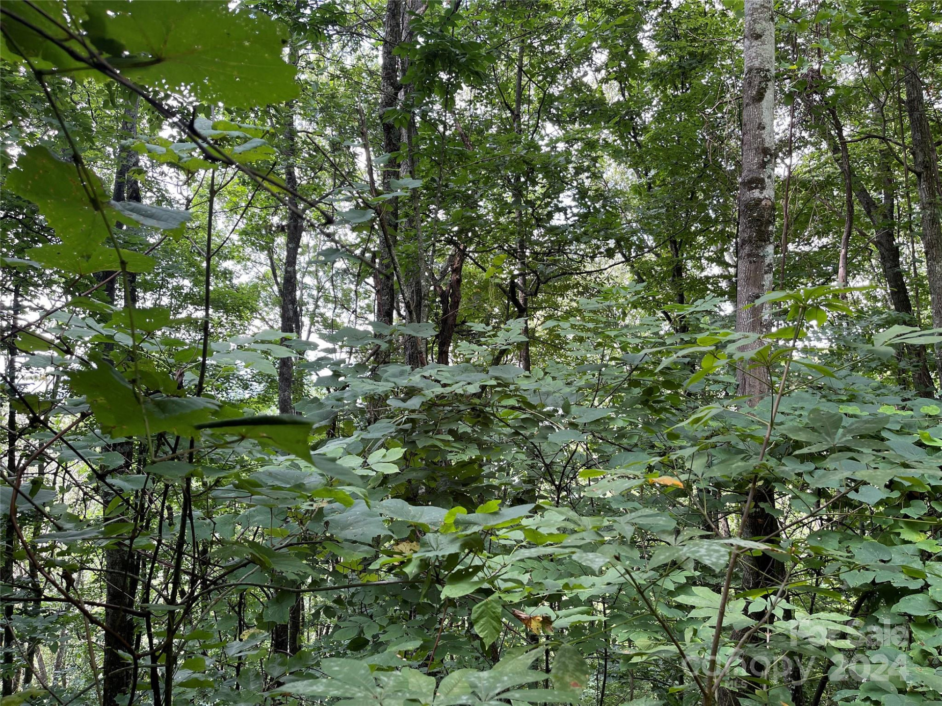 TBD Friendly Acres Drive - Photo 27