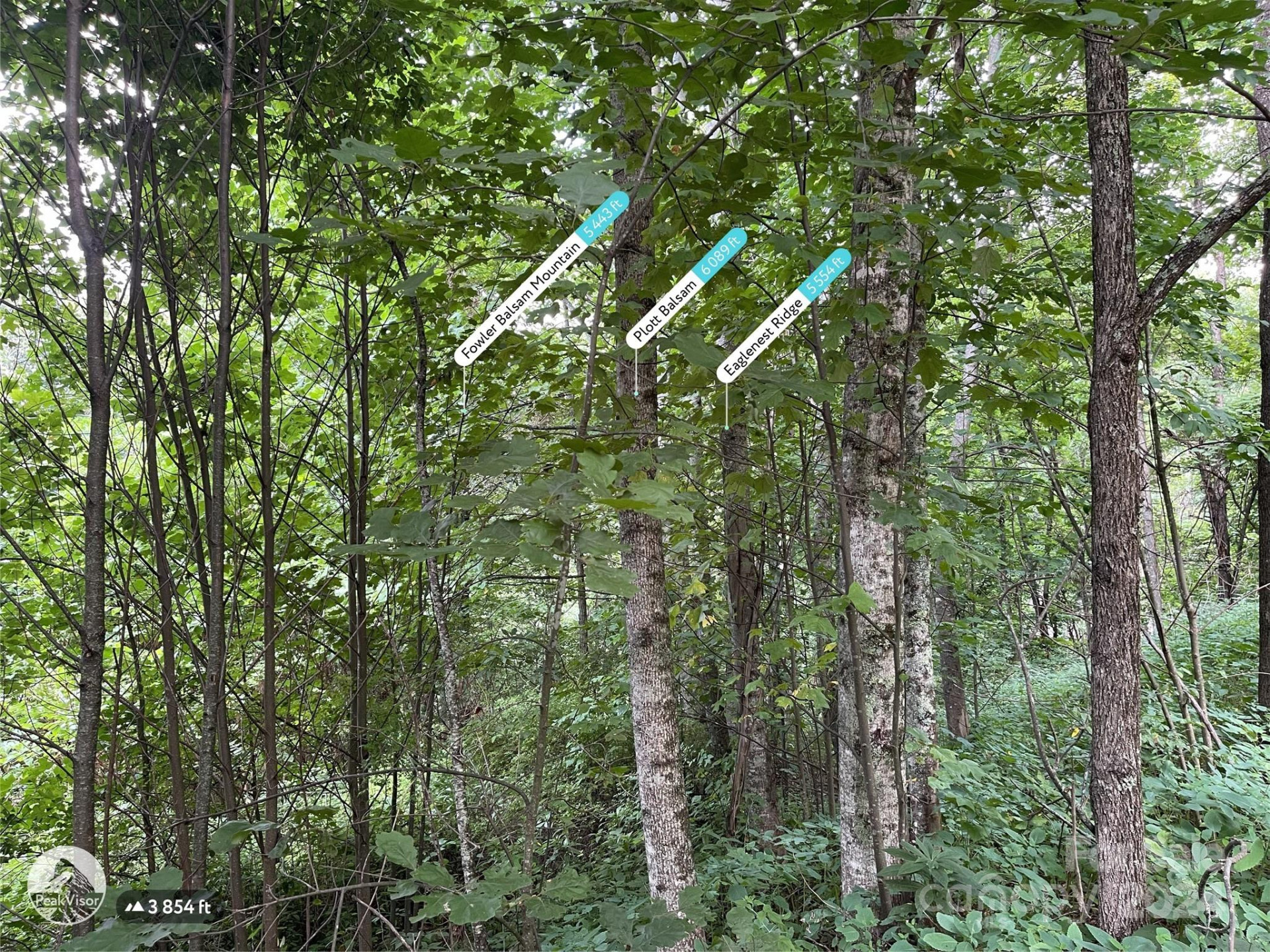 TBD Friendly Acres Drive - Photo 31