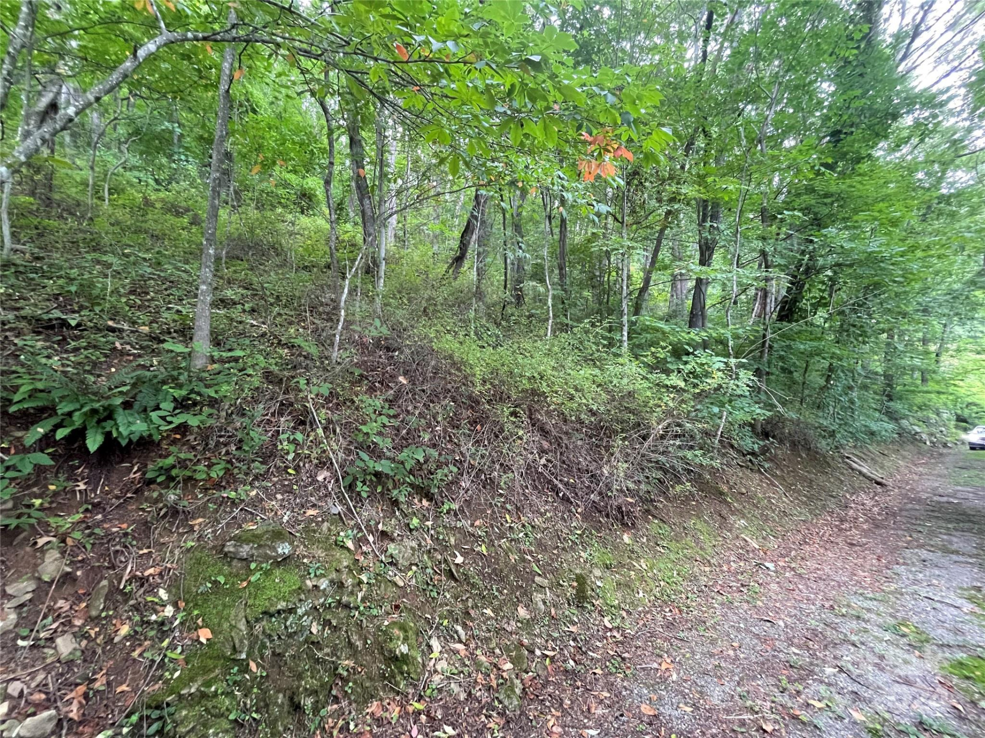 TBD Friendly Acres Drive - Photo 34