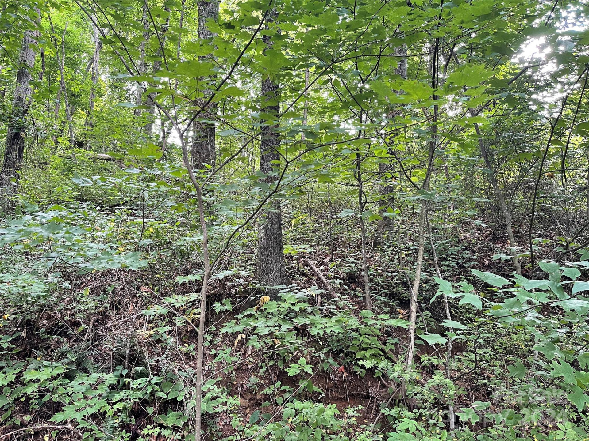 TBD Friendly Acres Drive - Photo 10