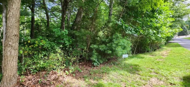 00000 Barebridge Drive