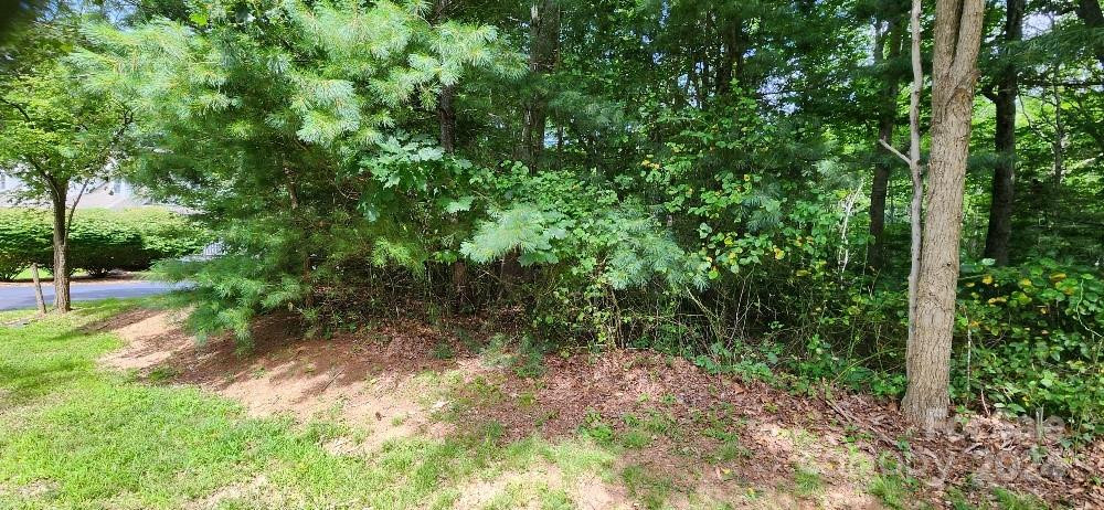 00000 Barebridge Drive #9 - Photo 2