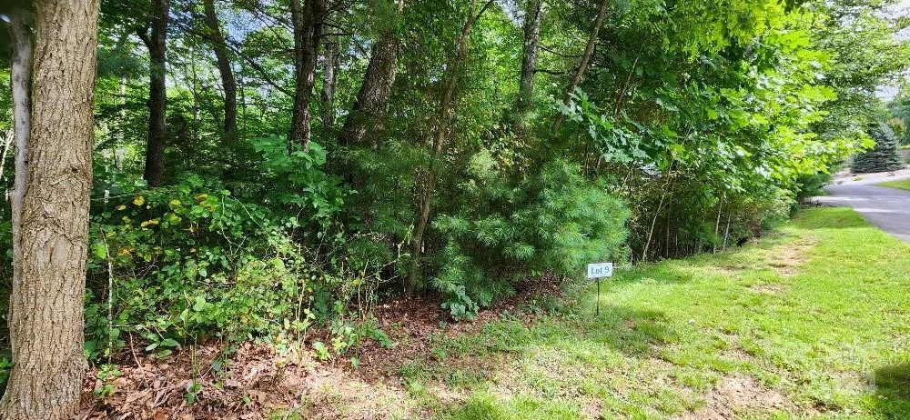 00000 Barebridge Drive #9 - Photo 12