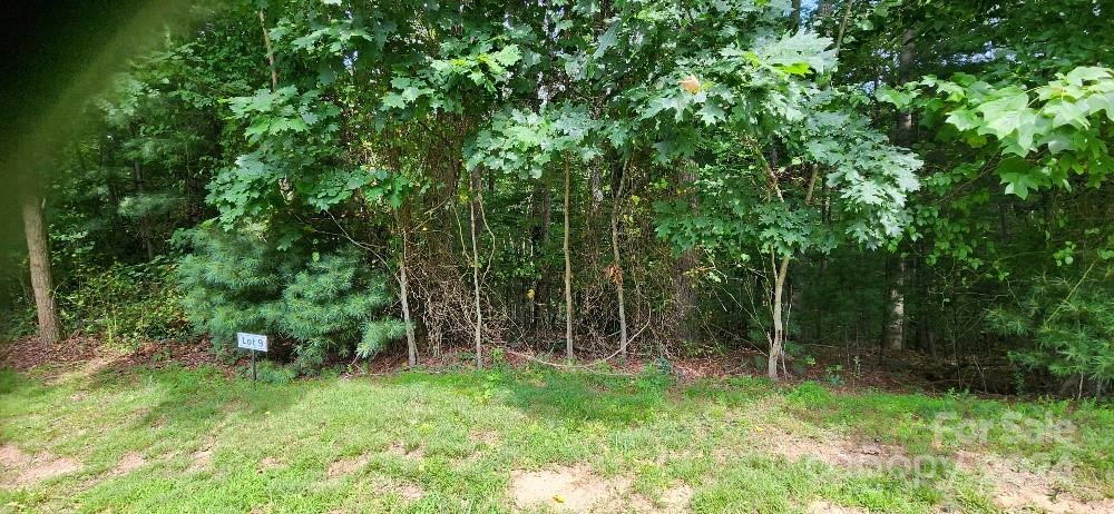 00000 Barebridge Drive #9 - Photo 13