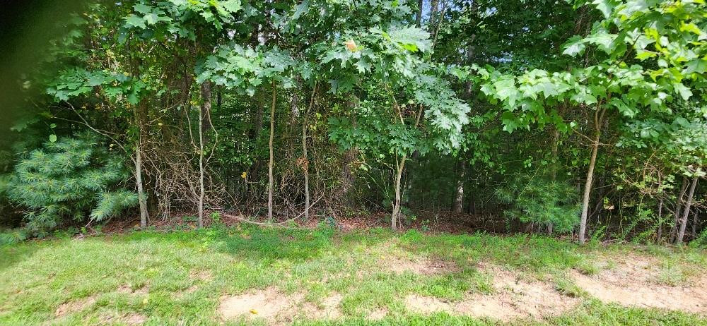 00000 Barebridge Drive #9 - Photo 14