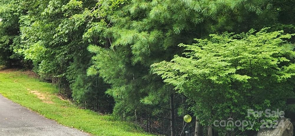 00000 Barebridge Drive #9 - Photo 16