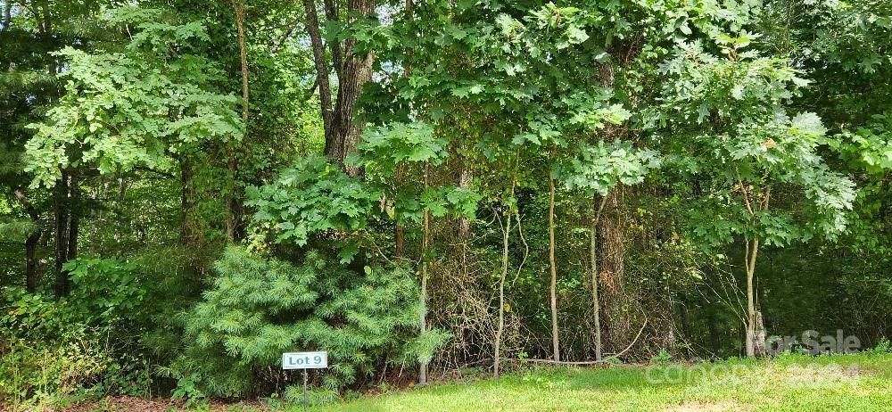 00000 Barebridge Drive #9 - Photo 17