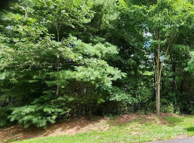 00000 Barebridge Drive #9 - Photo 18