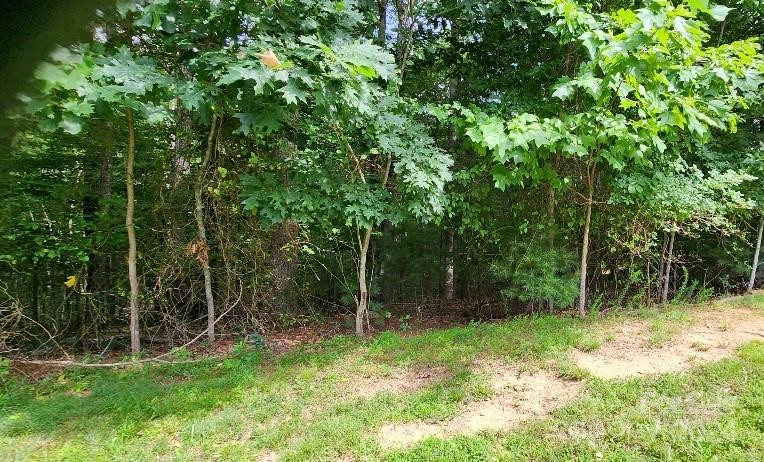 00000 Barebridge Drive #9 - Photo 19