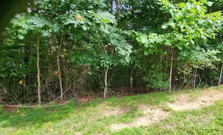 00000 Barebridge Drive #9 - Photo 19