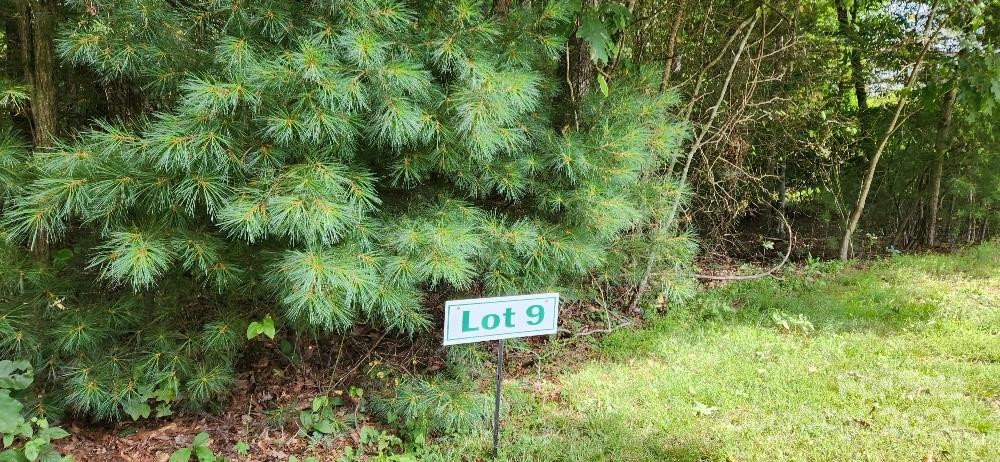 00000 Barebridge Drive #9 - Photo 3