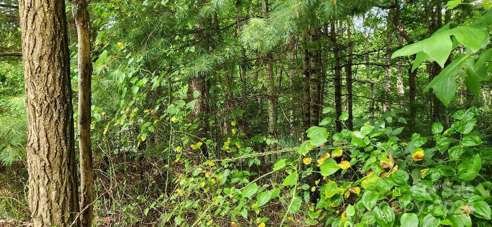 00000 Barebridge Drive #9 - Photo 4