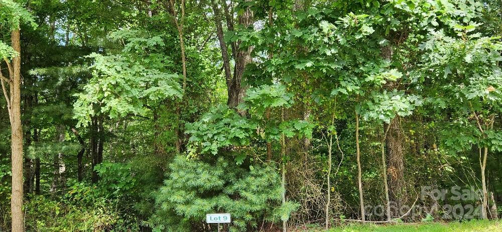 00000 Barebridge Drive #9 - Photo 10