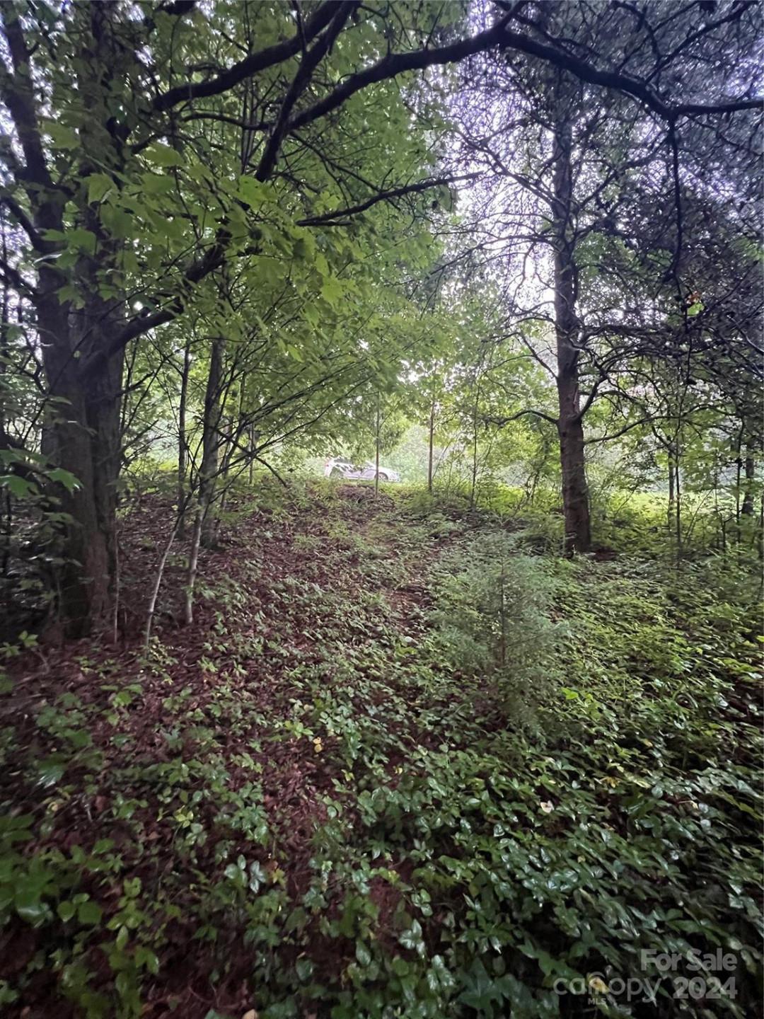 000 Easy Street #18 - Photo 4