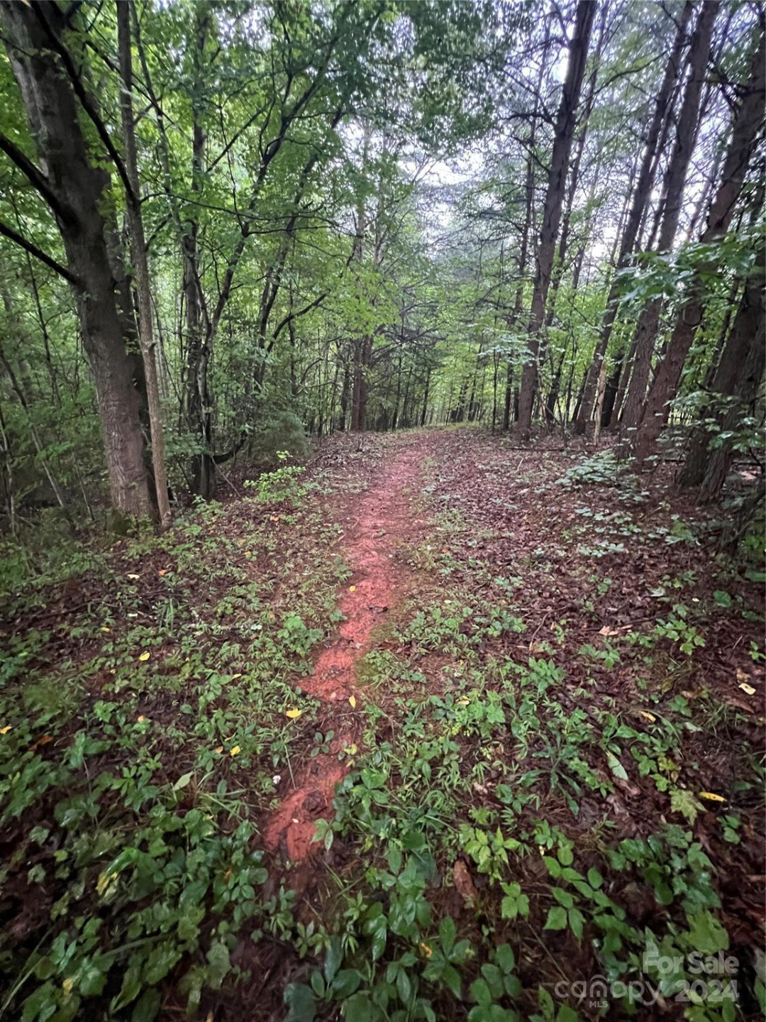 000 Easy Street #18 - Photo 5