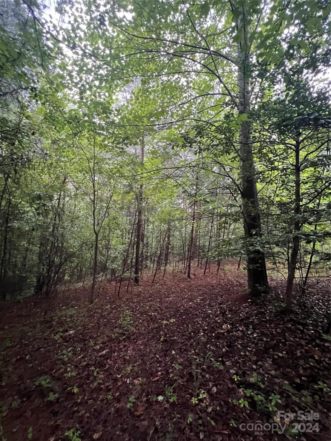 000 Easy Street #18 - Photo 6