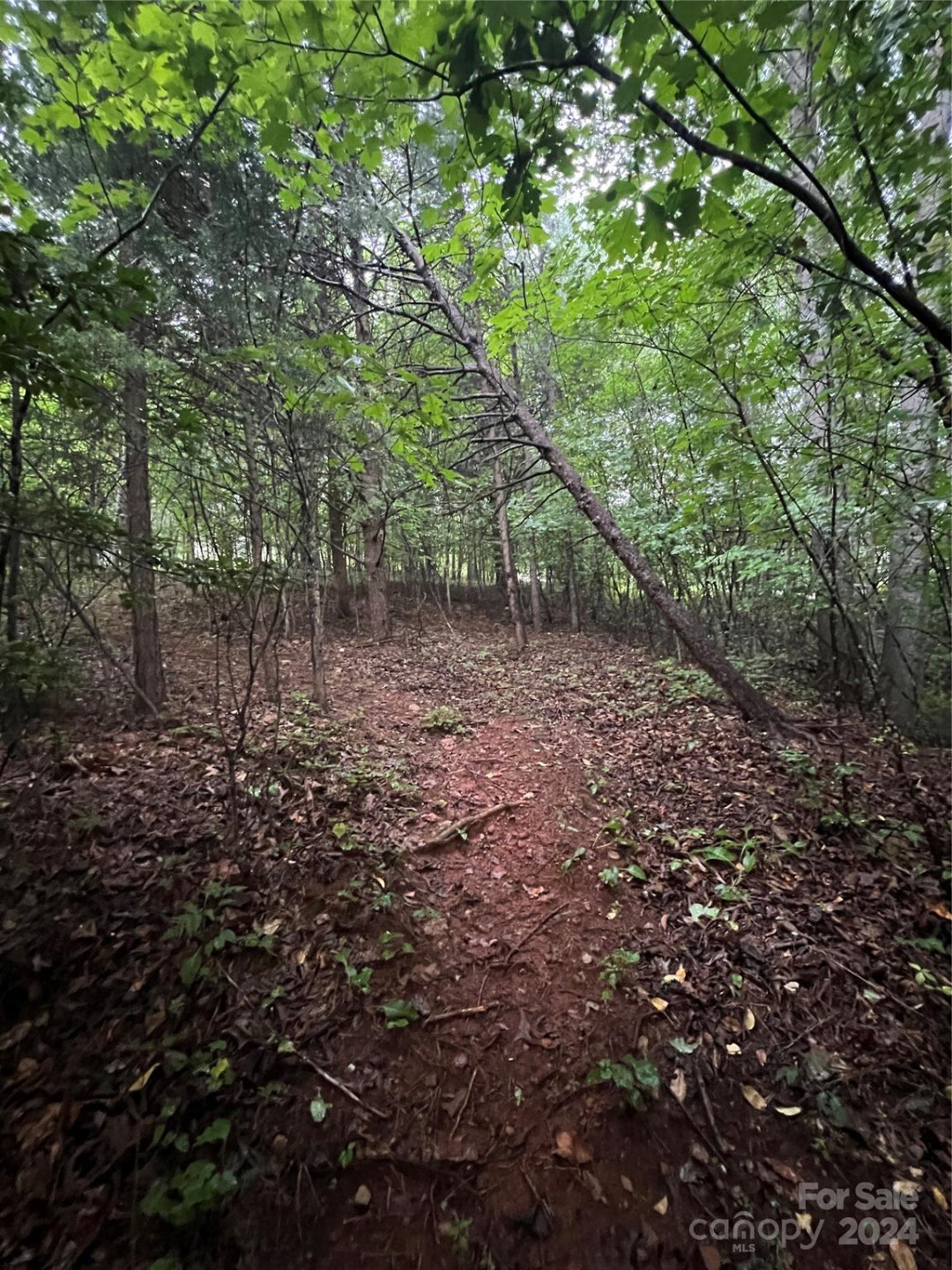 000 Easy Street #18 - Photo 7