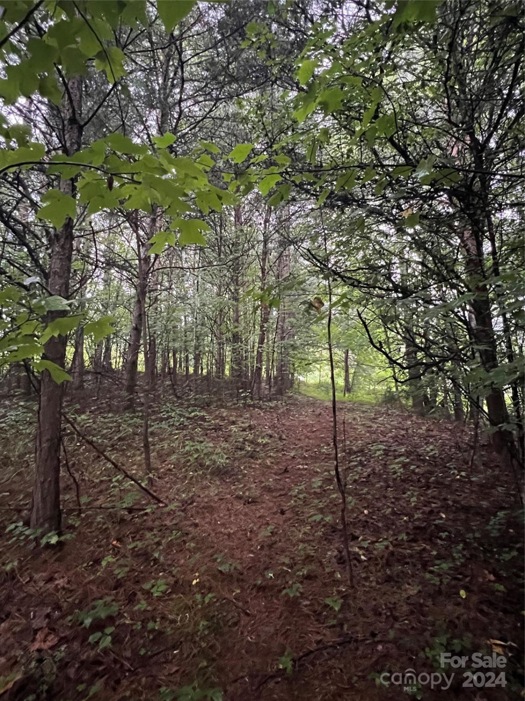 000 Easy Street #18 - Photo 8