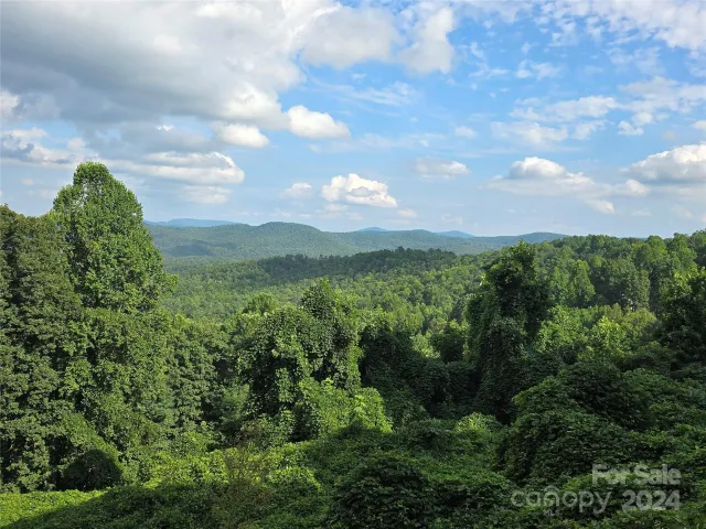 9999 Falkirk Way, Zirconia, NC, 28790
