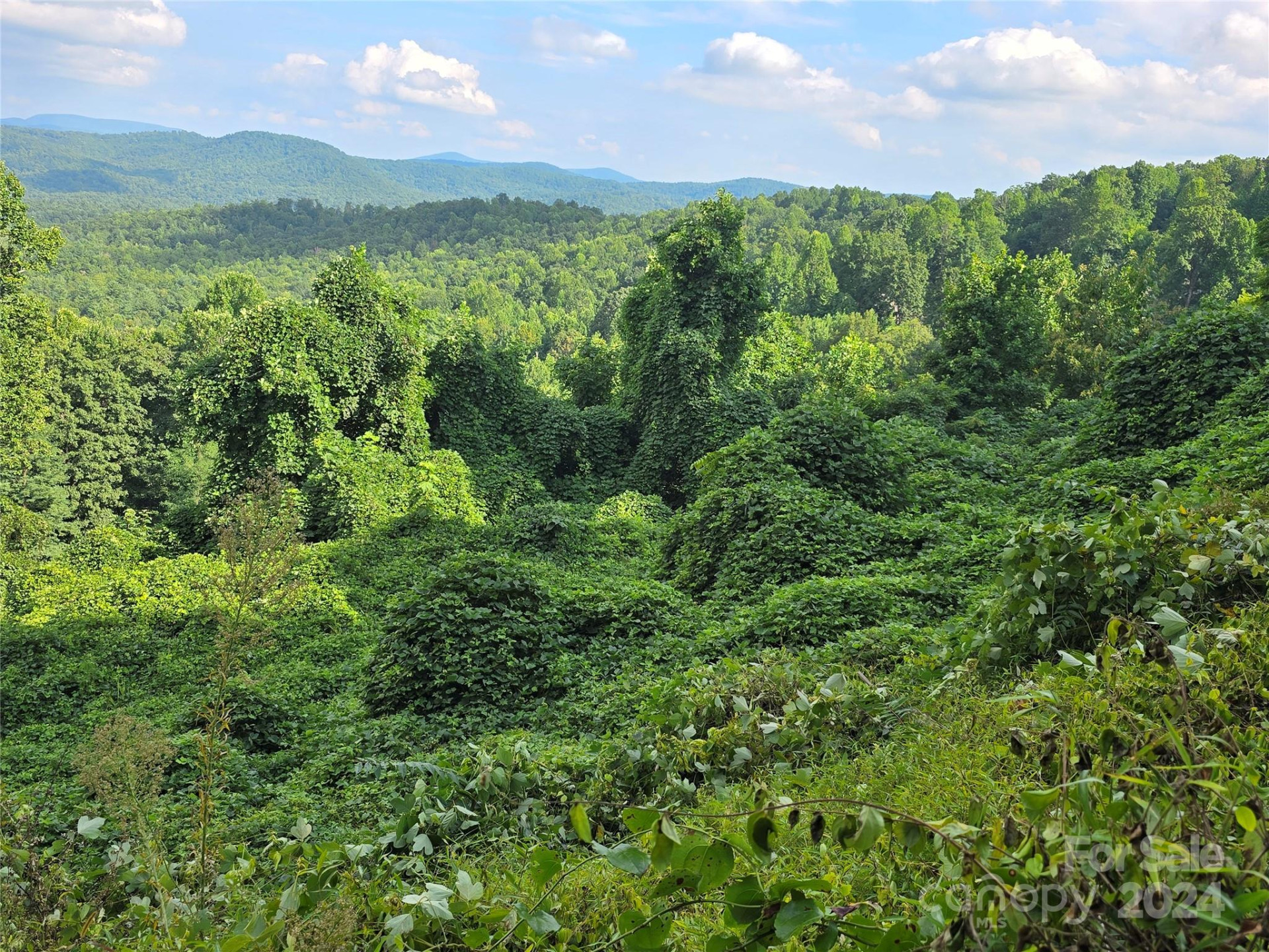 9999 Falkirk Way - Photo 15