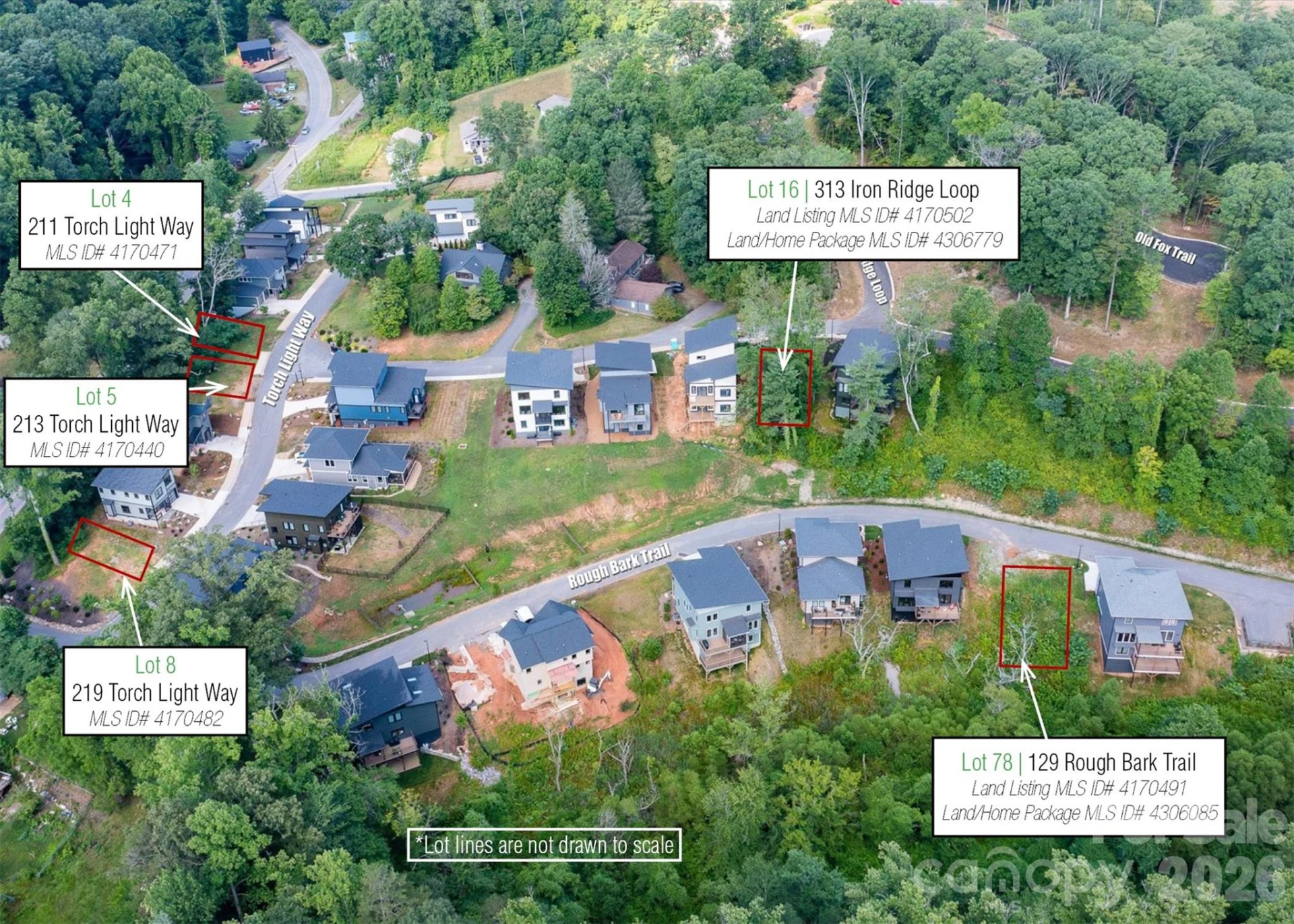 219 Torch Light Way #8 - Photo 3