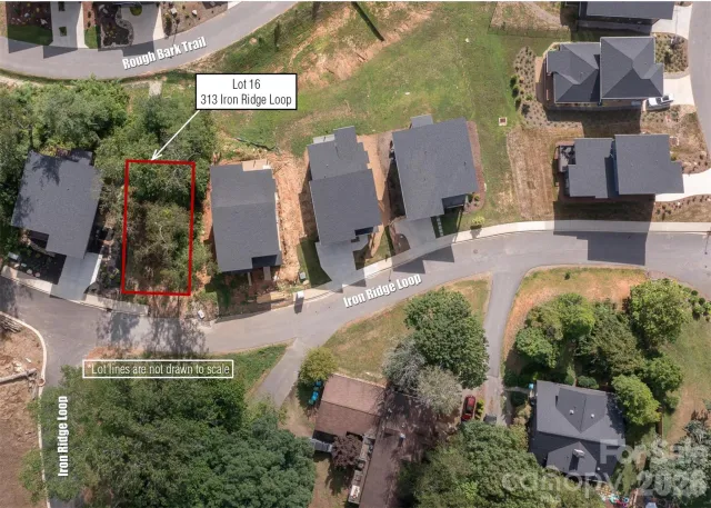 313 Iron Ridge Loop