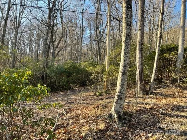 0 Poplar Lane
