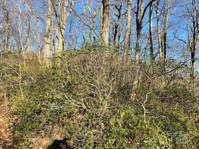 0 Poplar Lane #25 - Photo 2