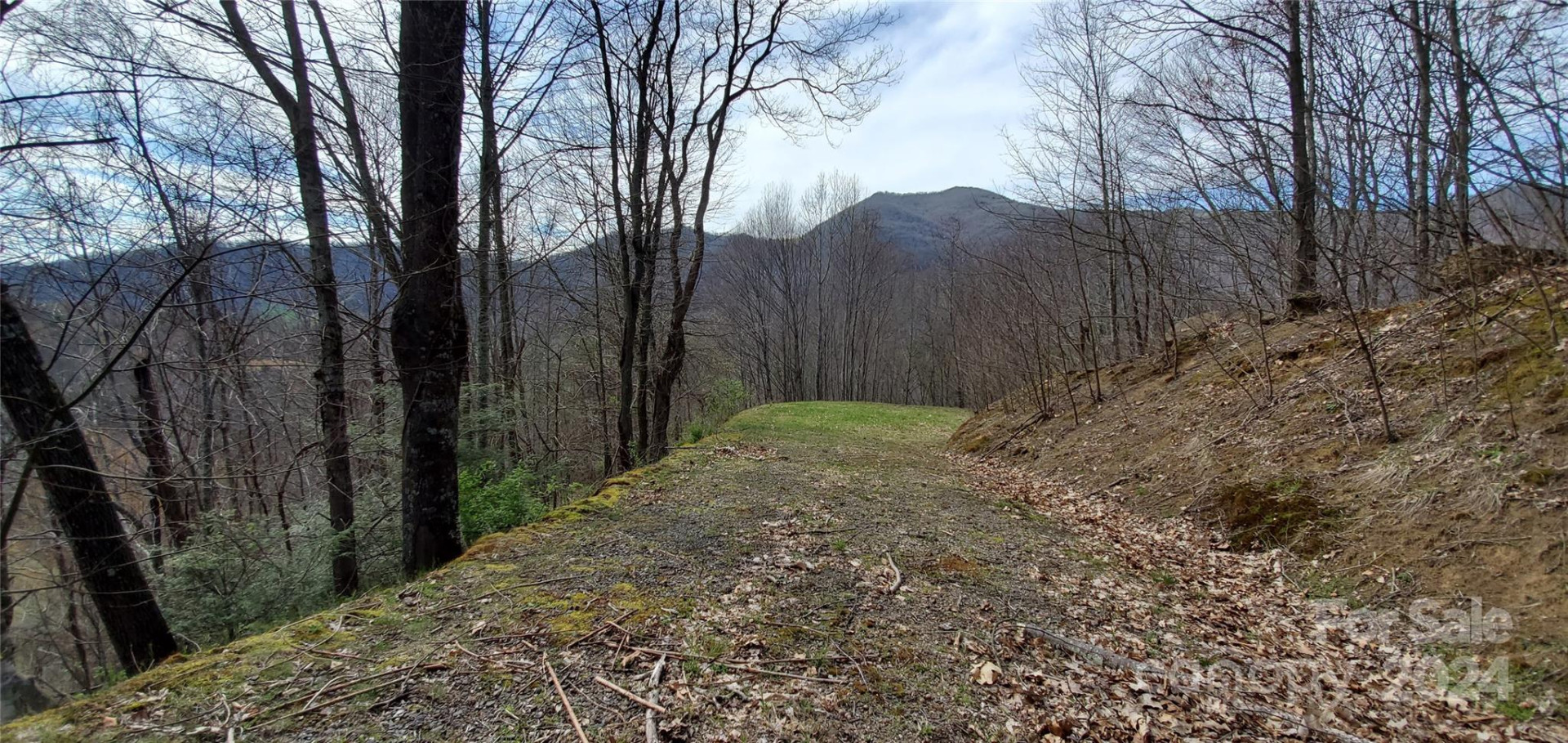 9999 Sunset Falls Drive - Photo 2