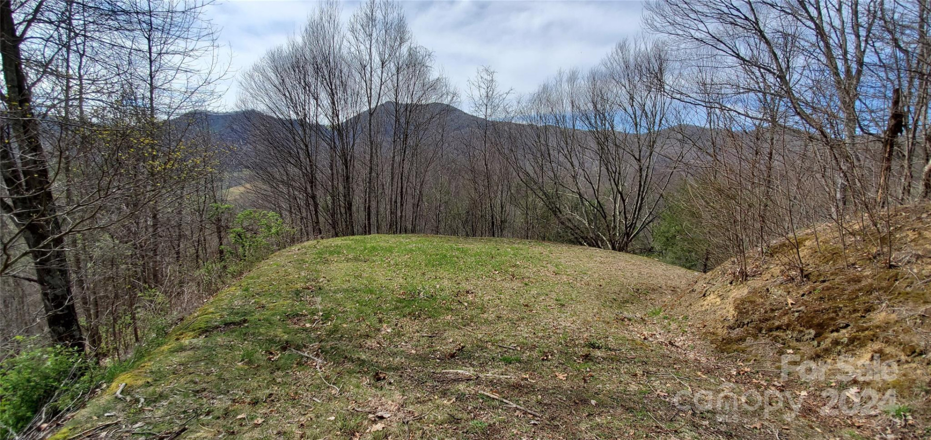 9999 Sunset Falls Drive - Photo 3