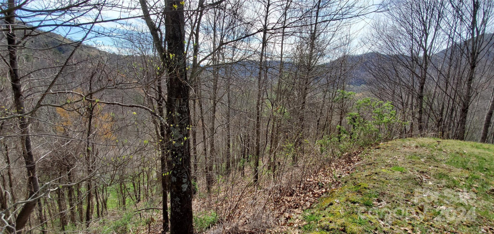 9999 Sunset Falls Drive - Photo 4