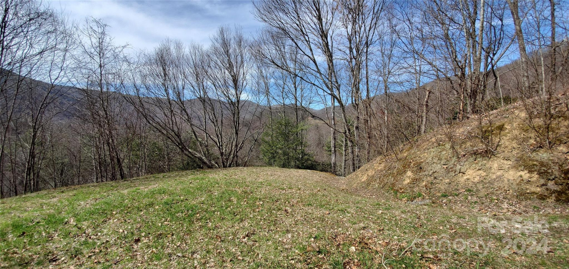 9999 Sunset Falls Drive - Photo 5