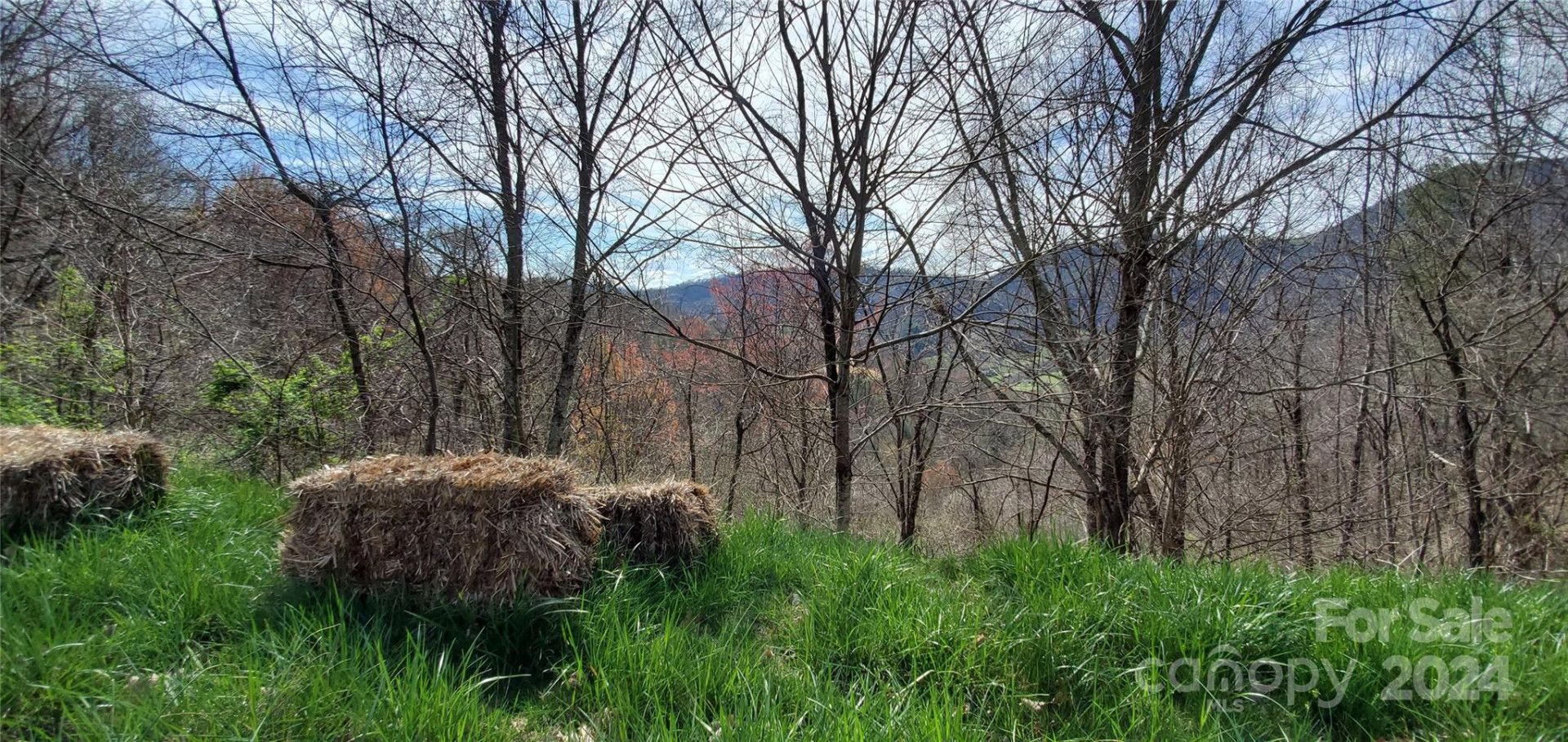 9999 Sunset Falls Drive