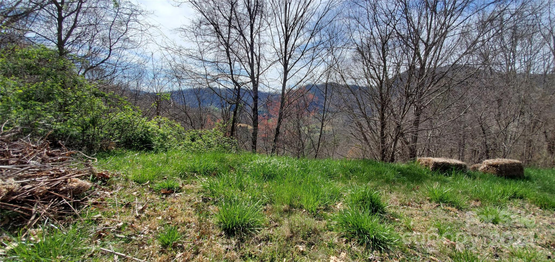 9999 Sunset Falls Drive - Photo 2