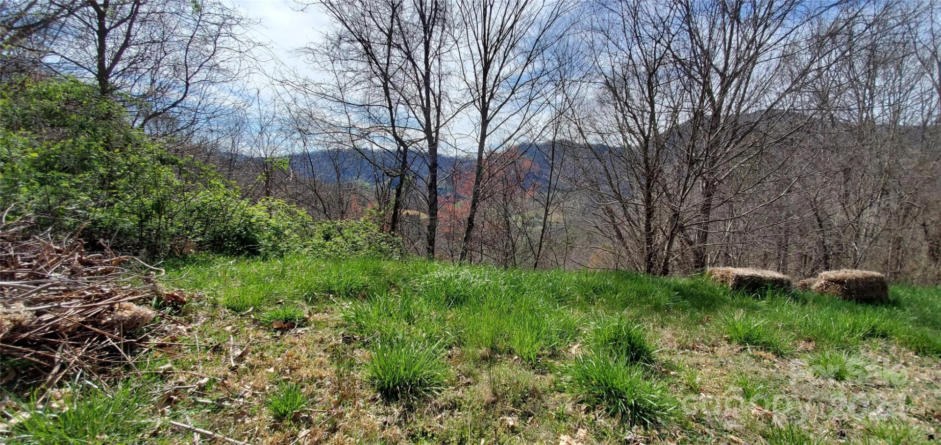 9999 Sunset Falls Drive - Photo 2
