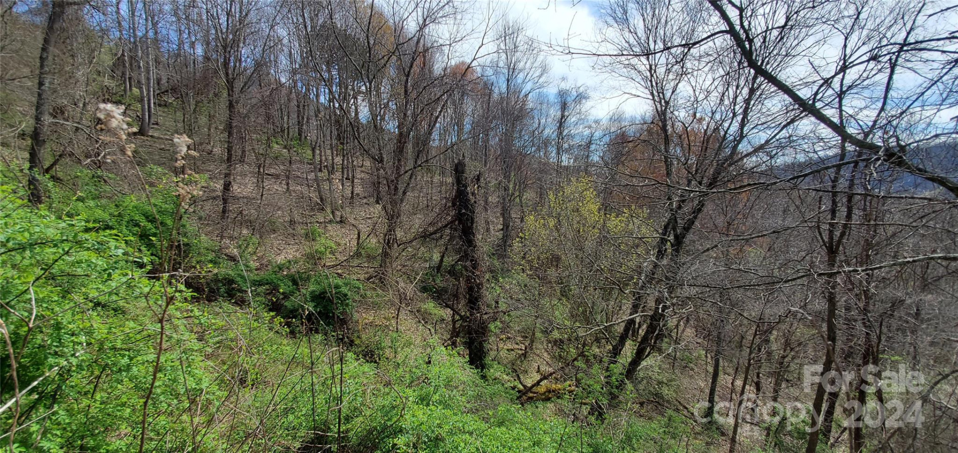 9999 Sunset Falls Drive - Photo 3