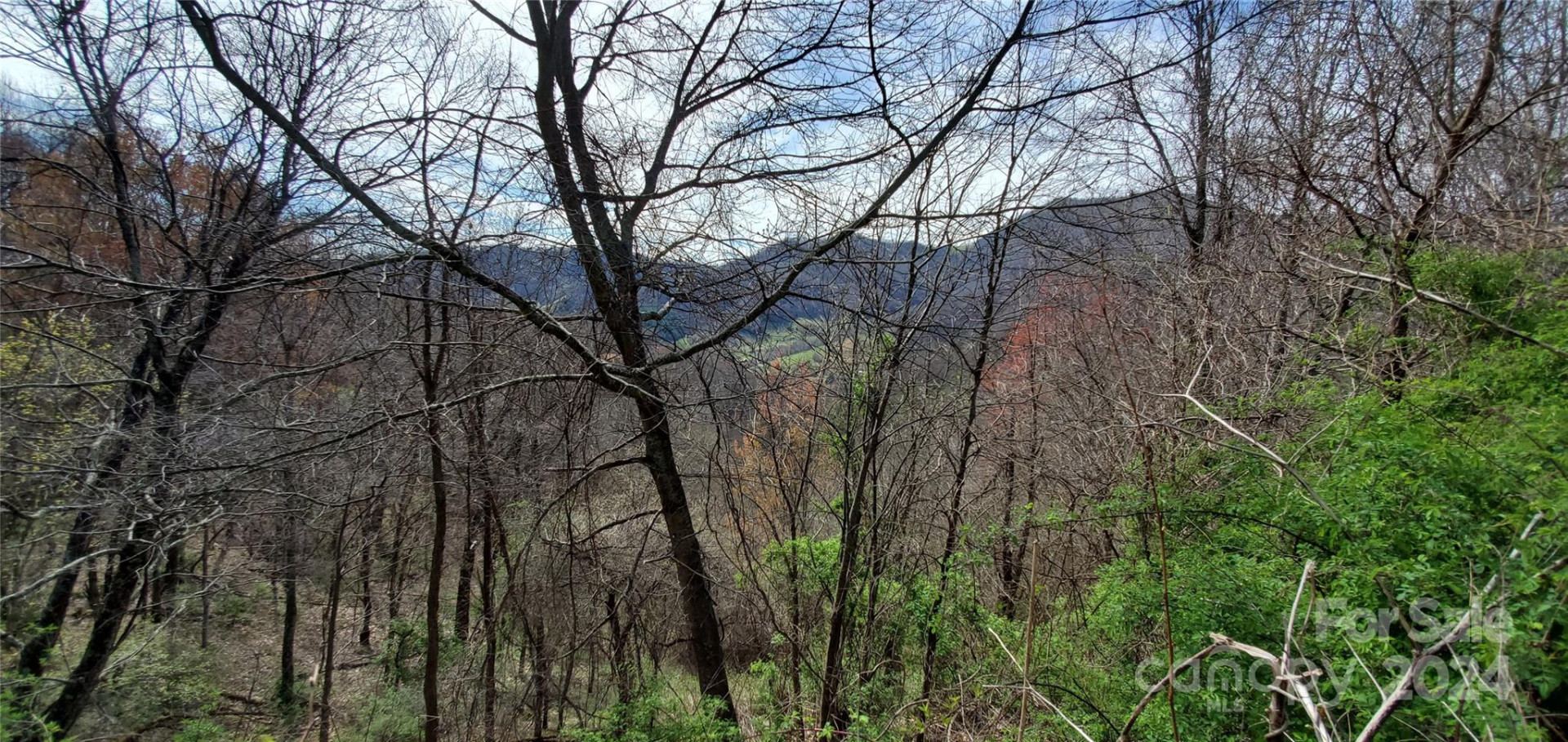 9999 Sunset Falls Drive - Photo 4