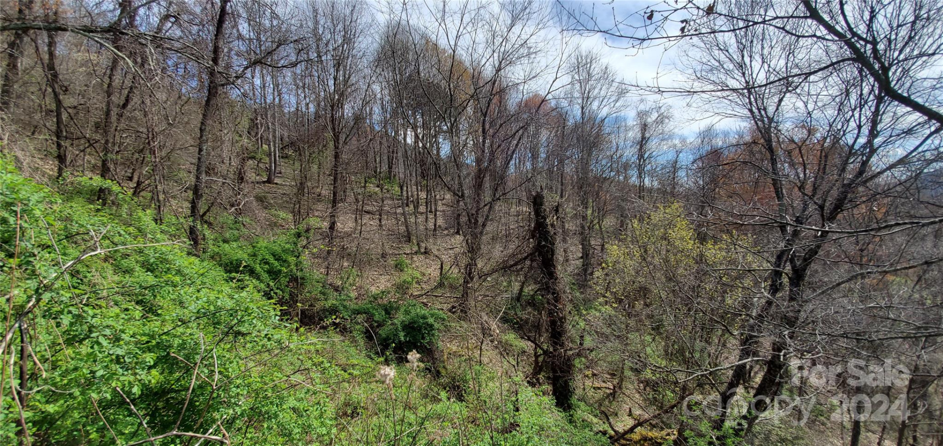 9999 Sunset Falls Drive - Photo 5