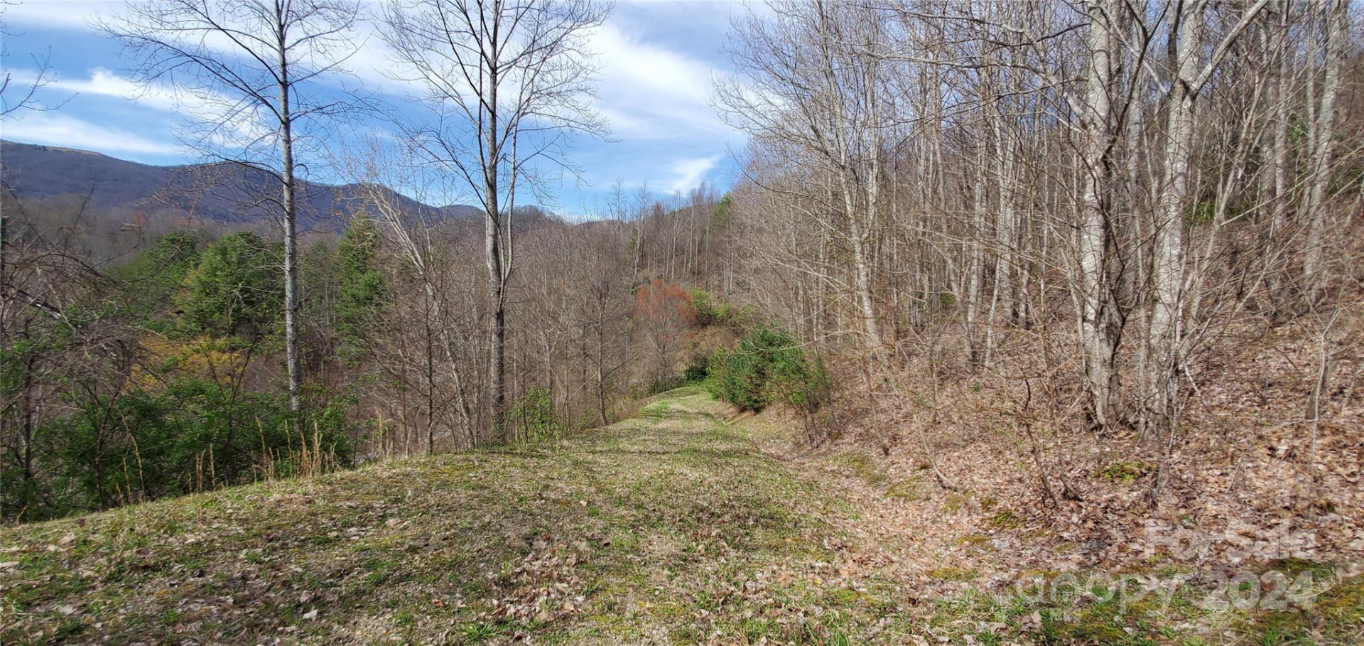 9999 Sunset Falls Drive - Photo 7