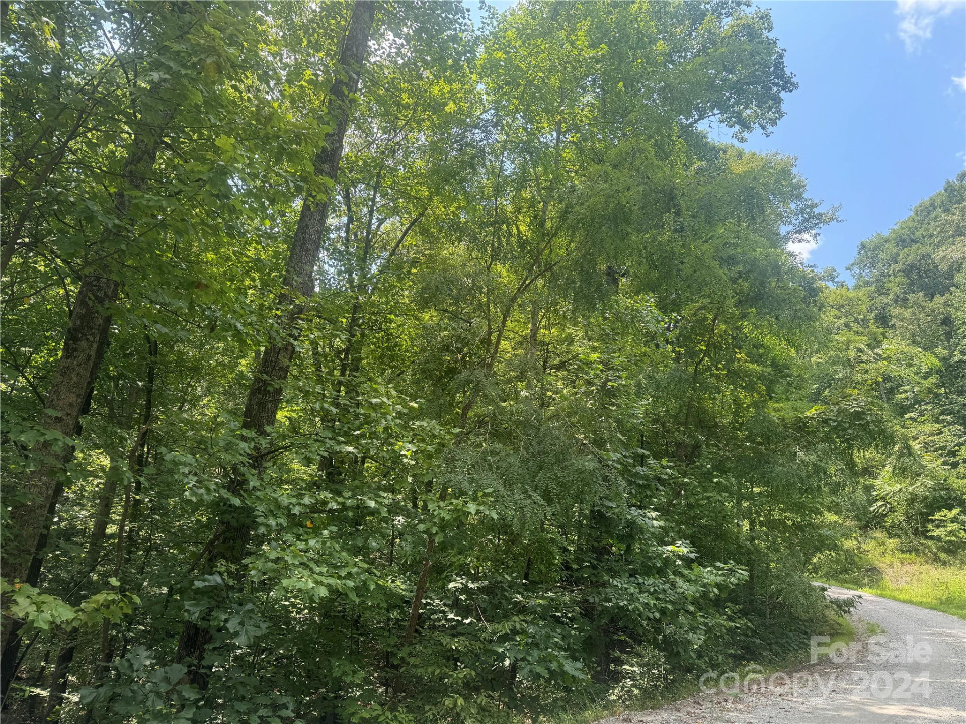 177 Peartree Drive - Photo 2