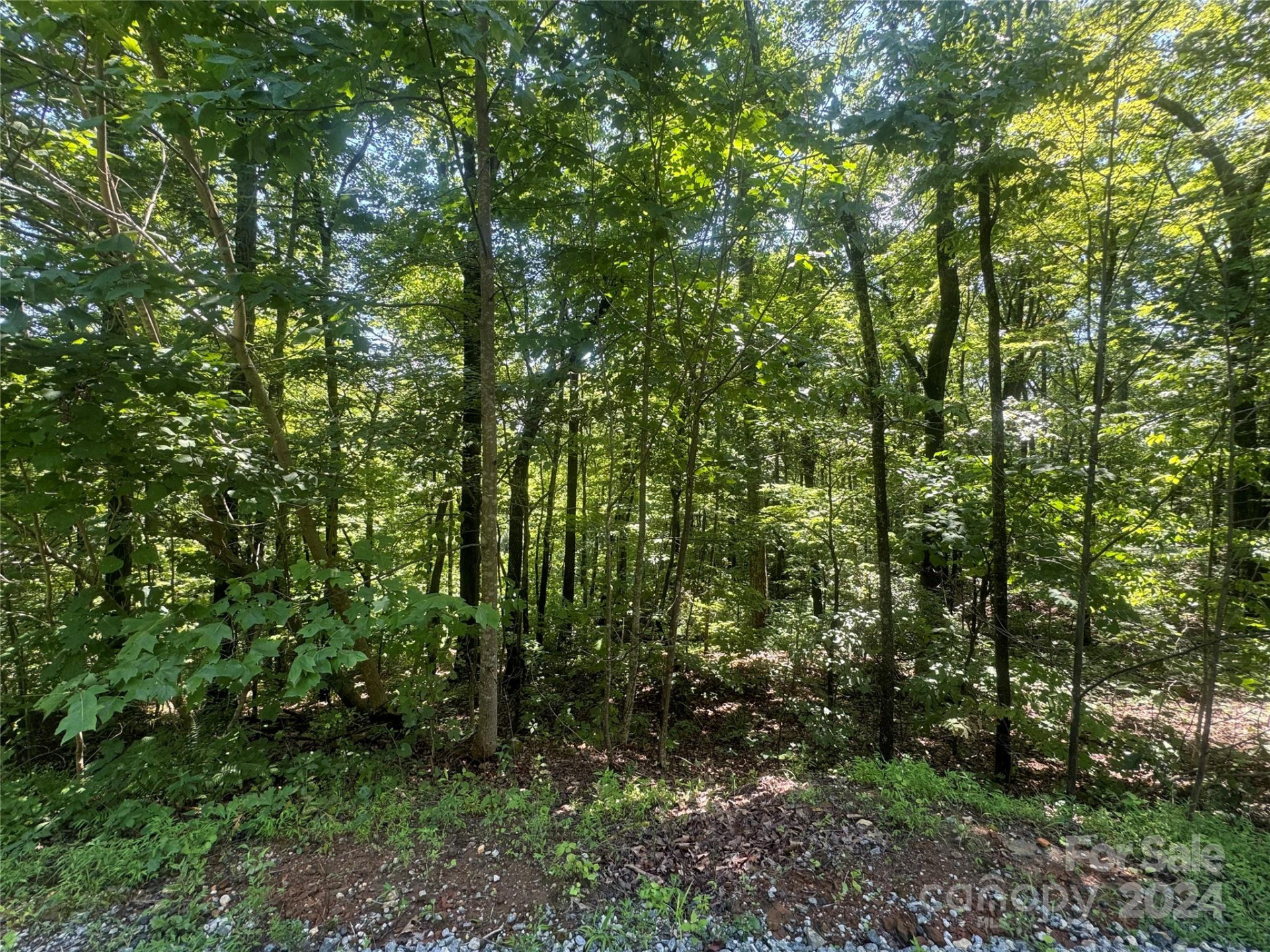 177 Peartree Drive - Photo 3