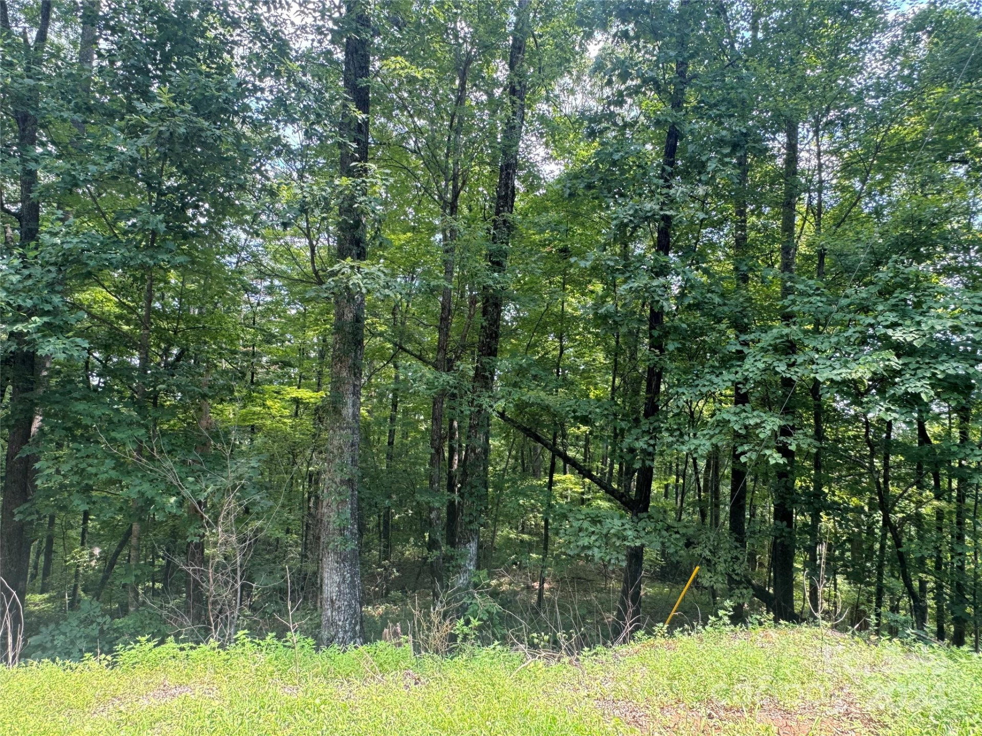 177 Peartree Drive - Photo 4